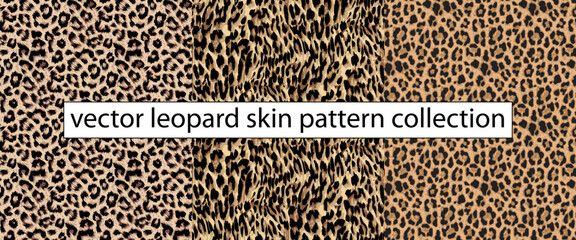 vector leopard skin seamless pattern illustration background, leopard skin textile fashion design fo