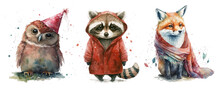 Safari Animal Set Fox, Raccoon And Owl In Watercolor Style. Isolated Vector Illustration