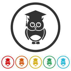 Wall Mural - Owl Education Icon. Set icons in color circle buttons