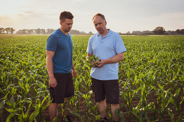 Poster - Landwirt und sein Sohn stehen in einem jungen Bestand an Maispflanzen, der Landwirt hält eine Maispflanze in der Hand.