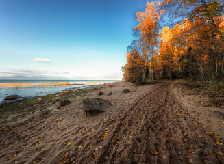 Wall Mural - sunset on the beach