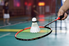 Badminton Player Holds Racket And White Cream Shuttlecock In Front Of The Net Before Serving It To Another Side Of The Court.