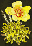 Fototapeta Konie - Floral 20221229 yellow