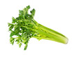 Leinwandbild Motiv Fresh leaf celery isolated over a white background. BIO vegetables.