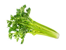Fresh Leaf Celery Isolated Over A White Background. BIO Vegetables.