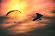 Hang glider, para glider sail at sunset Torrey Pines State Natural Reserve  California USA