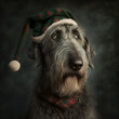 Irish Wolfhound in Christmas Outfit