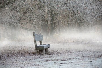 Empty bench or bank in the park in winter. Foggy winter landscape.