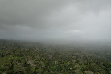 Wall Mural - rain cloud over tropical forest