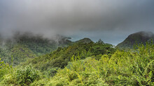 Lush Dense Jungle Covers The Hills. The Peaks Are Hidden In The Fog. There Is Green Vegetation In The Foreground. The Turquoise Ocean Is Visible In The Distance. Seychelles. Mahe.