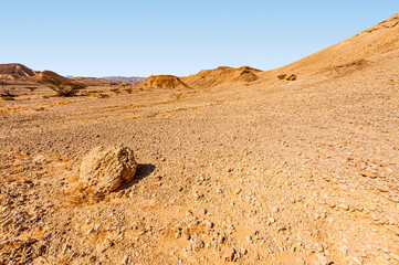 Canvas Print - Loneliness and hopelessness of the desert