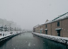 Now Falling On An Old Canal - Otaru Hokkaido Japan
