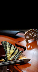 Wall Mural - violin, bow and colorful butterfly. melody concept.