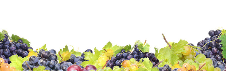 Wall Mural - Grape fruit isolated