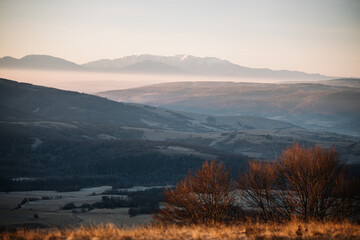 Sticker - Beautiful landscape in the mountains at sunrise. View of foggy hills covered by forest.