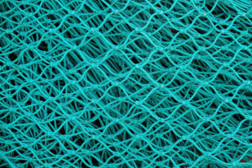 Netted in Blue