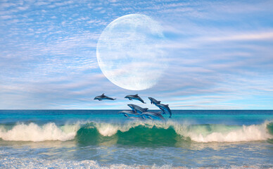 Wall Mural - Group of dolphins jumping on the water with full moon - Beautiful seascape and blue sky 