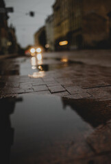 Poster - Moody vertical photo of puddle in autumn in city of Riga