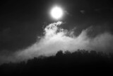 Fototapeta Na sufit - Moonrise silhouettes forest with wispy mountain clouds in the alps