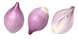 Onions (shallots) and half isolated, Onions (shallots) macro studio photo, collection, transparent png, collection, PNG format, cut out.