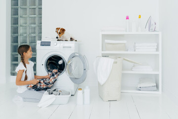 Wall Mural - Positive girl emptying washing machine, holds clean checkered shirt, looks with smile at favourite pet who helps with doing laundry, poses on white floor with basin full of clothes, cleaning agents.