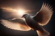 illustration of a flying dove with full spread wing with sunlight as background