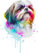 Colorful shih-tzu with paint splashes