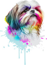 Colorful Shih-tzu With Paint Splashes