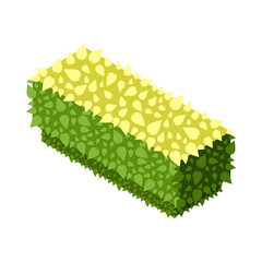 Wall Mural - Hedge Isometric Icon