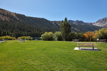 Canvas Print -  Green lawn and a cozy bench