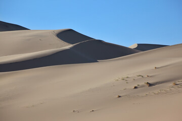 Canvas Print - The sand dune before sunrise