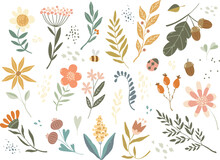 Botanical Vector Elements, Wild Flowers, Leaves, Bee, Ladybug, Dots, Acorn In Doodle Style