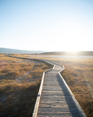 boardwalk bridge pathway to mountains nature