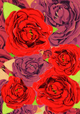Fototapeta Konie - Floral 20221213 red roses