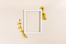 Yellow Forsythia Flowers Around A White Frame On A Pastel Beige Background. Flat Lay And Copy Space. The Concept Of A Greeting Card For Mother's Day, Women's Day, Birthday, Easter