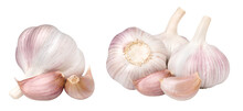 Isolated Garlic, Transparent Png, Collection, PNG Format, Cut Out