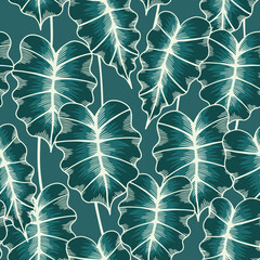 Wall Mural - Vintage linear seamless pattern with alocasia leaves. Tropical plant on green background