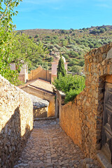 Wall Mural - Surrounded by olive trees, Pigna, in Balagne is a charming village, a real haunt of artists and craftsmen which seduces with its flowery alleys, as well as its main square which is a real delight