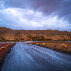 Wall Mural - Colorado River Landscape Series at Bullhead Community Park road to the mountain in stormy rain, in Bullhead City, Arizona, USA