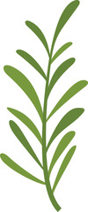 Wall Mural - Rosemary herb icon flat vector. Green plant. Leaf branch isolated