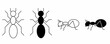 top view and side view ant icon set isolated on white background