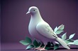 White Dove - peaceful and pure, this white bird was created by generative AI to represent peace, love, and freedom. Doves are domestic pigeons with white plumage and live free as birds