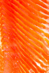 Sticker - Salmon red fish fillet as a background.