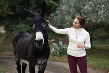Smiling Woman Stroking Donkey Standing In Garden