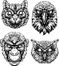 Black And White Hand Drawn Face Of Monkey, Cat, Owl, Crow. Vector Illustration Mascot Art.