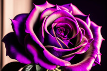 Illustration Of A Dark Purple Rose Flower In Violet Color With Clear Petals, Made With Generative AI