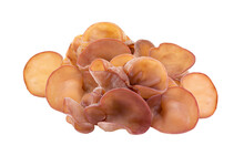 Jew's Ear, Wood Ear, Jelly Ear Isolated On Transparent Png