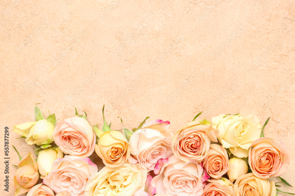 Composition with beautiful rose flowers on color background
