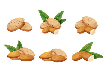 Set almond in nutshell with leaves detailed raw nut, almond powder in bowl organic product, ingredient in cartoon style isolated on white background. Ripe plant, snack.