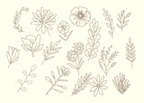 Fototapeta Kwiaty - doodle flowers vector had drawn